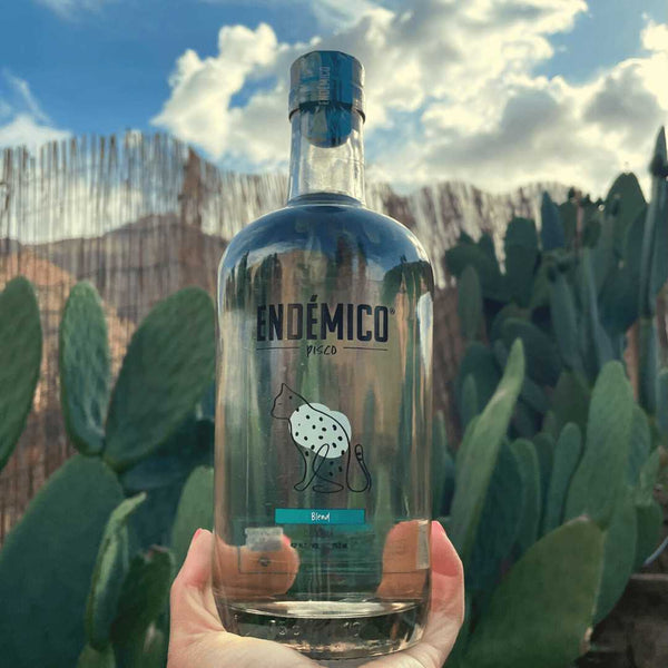Pisco Endémico, Pisco Chileno, Perfecto para tragos, Pisco Sour, Piscola, Carrete